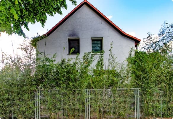Einfamilienhaus | Mahlsdorf