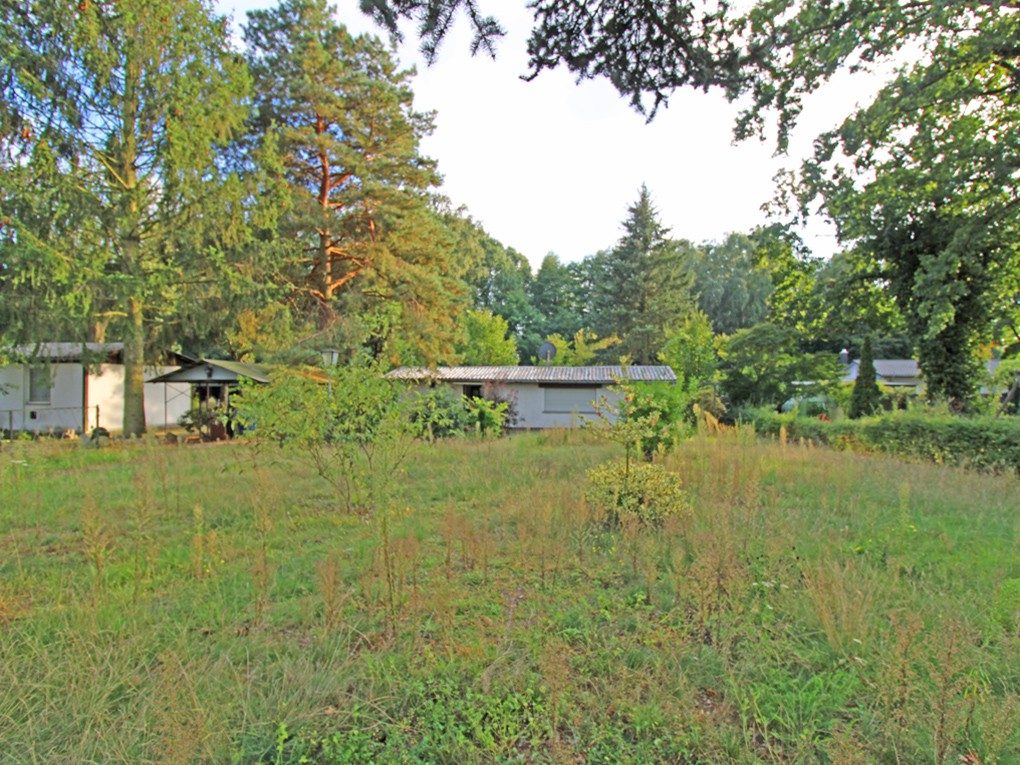 Ihr Traumhaus möchte hier stehen